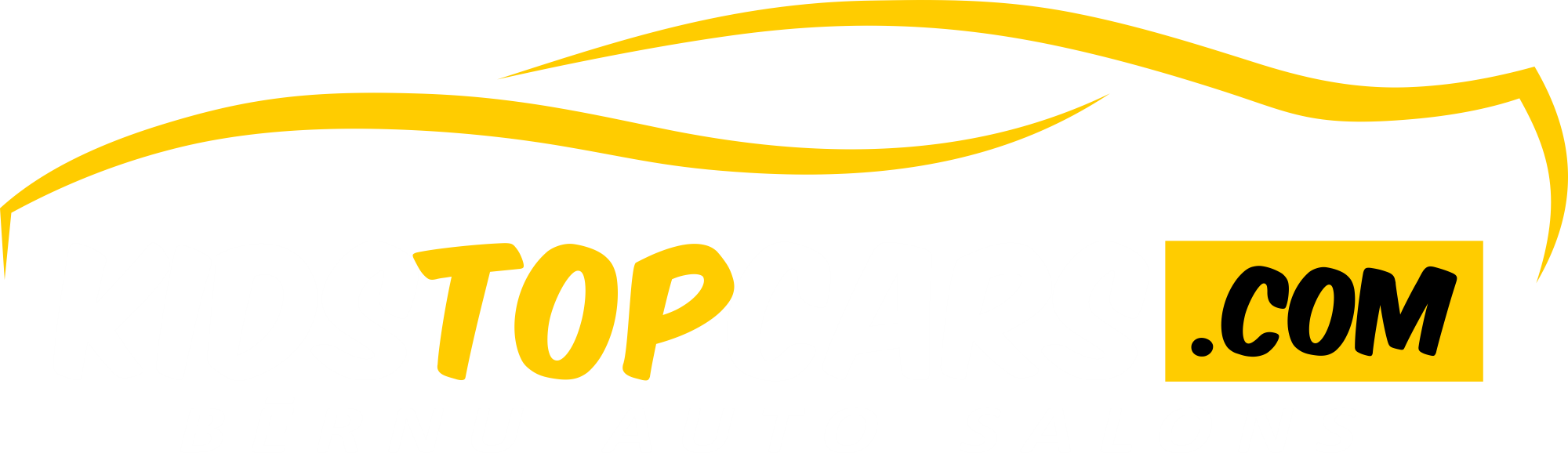 KIDSTOPCARS.COM bernu auto salons1 (1)